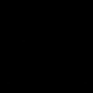 Meet your Posher, Benjamin